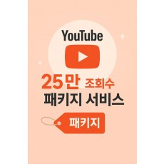 유튜브 25만 조회수 패키지 서비스